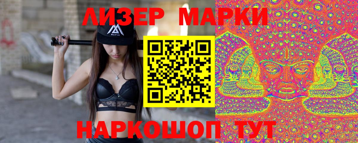 Псилоцибиновые грибы Чернушка