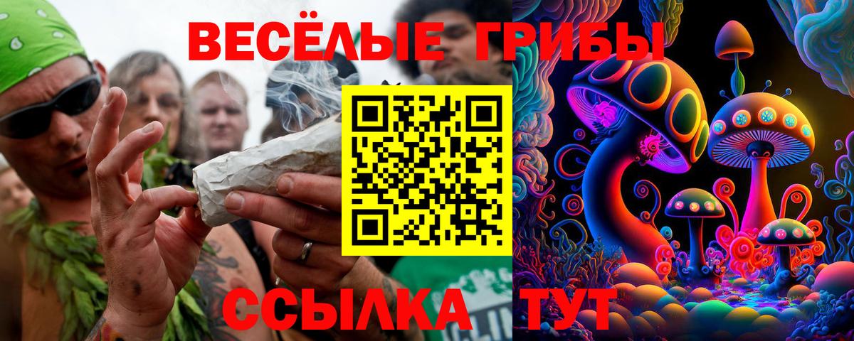 Псилоцибиновые грибы ЛСД  Вход с VPN  Чернушка 